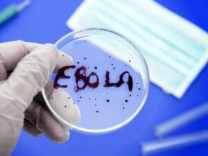 лихорадка эбола, медицина, лозанна, общество, вакцина против эболы, воз