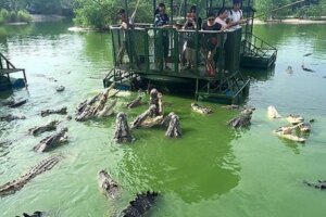 Таиланд, экстрим, крокодилы, крокодиловая ферма, китайцы,Китай, 