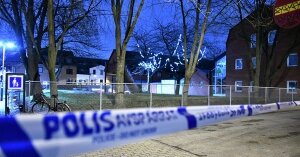 Швеция, изнасиловали, надругались, преступники, поджогли, половые органы, Мальме