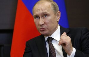 Владимир Путин, Россия, ислам, Москва, ислам, заседание, терроризм, сотрудничество