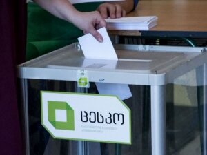 грузия, выборы, президент, результаты, экзитполы, цик, данные, власть, оппозиция 