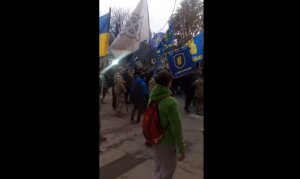украина, закарпатье, свобода, националисты, флаг венгрия, спалили, видео 