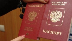 россия, выдача паспортов и прав, мфц, новые правила