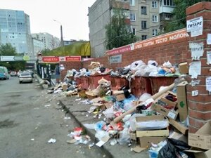 Евгений Тефтелев, мусор, общество, челябинск, коллапс