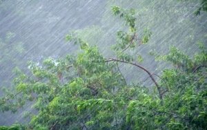 саратовская область, ураган, ветер, дома, повреждения, электроснабжение 