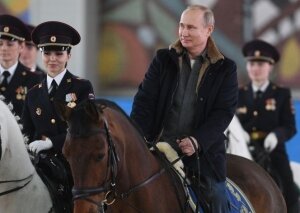 россия, путин, общество, конь, лошадь, верхом на лошади
