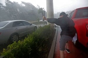 сша, флорида, ураган, погода, разрушения, видео, природные катастрофы 