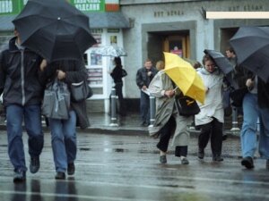 Россия, Москва, общество, погода, дожди