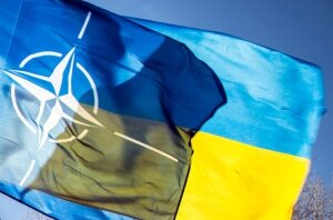 украина, нато, блок, альянс, вступление, оборона, политика 