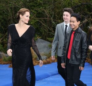 Анджелина Джоли, США, Америка, Голливуд, кино, Мэддокс, сын, происшествия, общество, новости