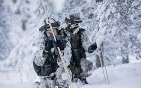 финляндия, военные учения, сша, эстония, суровые условия, зима, низкие температуры