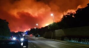 хорватия, пожар, новости дня, эвакуация, лес, происшествия, общество