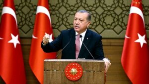 эрдоган, германия, турция, политика, высказывание