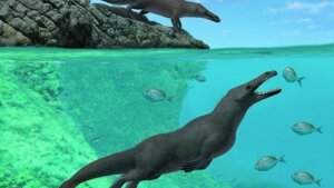 наука, Перу кит с копытами аномалия история мир животных (новости), происшествие
