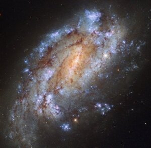 Hubble, галактика, Вселенная, NGC 1559, созвездие Сетки, Млечный Путь, светило, кластер, световые годы, сверхновые 