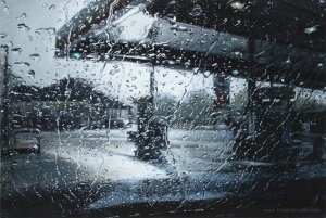 Ленинградская область, МЧС, погода, ливень, дождь, гроза, ветер