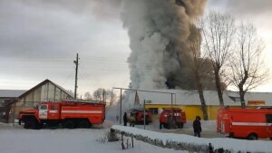 Новости России, Новосибирская область, Чернореченский, пожар, обувной цех, подробности, погибшие