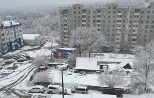 Тында, Амурская область, снегопад, погода, аномалия, заморозки, россия