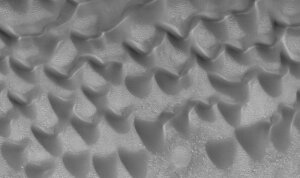 наука,технологии,общество,происшествия,мнение,космос,марс,дюна