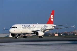 лайнер, самолет,, москва-анталья, экстренная посадка, столкновение, стая птиц, аэропорт внуково, Turkish Airlines
