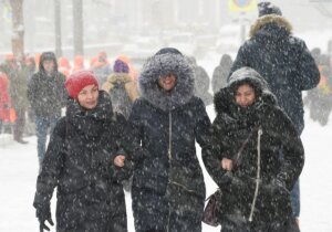 общество, центральная россия, циклон, погода, снегопад, спасатели, деревья, пострадавшие