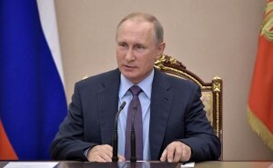 новости россии, американские выборы, победа, владимир путин, кадры, видео, дональд трамп, вести