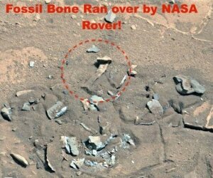 наука, Марс космос наука Скотт Уоринг кости пришельца, происшествие