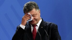 порошенко, украина, донбасс, трамп, сша, встреча, итоги, эксперт, мнение, хромая утка