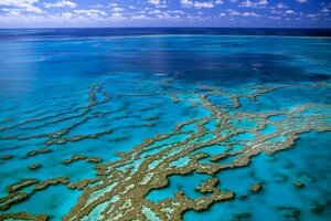 наука,техника,кораллы,риф,австралия