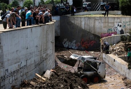 наводнение, тбилиси, зоопарк, потоп, происшествия, грузия