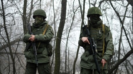 "Военную поддержку окажет не только Россия", - заверили в ДНР 
